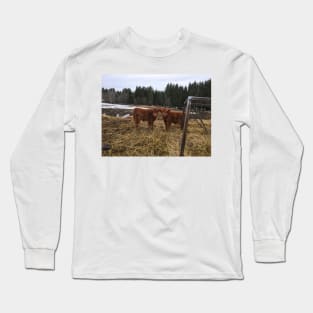 Scottish Highland Cattle Calves 1746 Long Sleeve T-Shirt